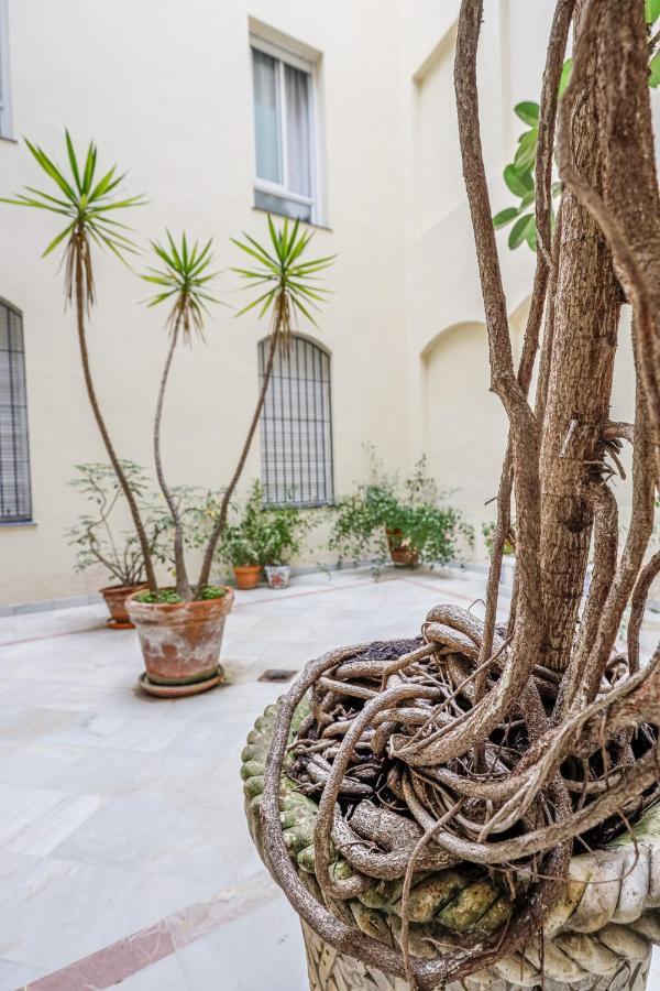 Chic&Luminoso-Wifiac/Elegant Apt In Salvador 2 Br Seville Exterior photo